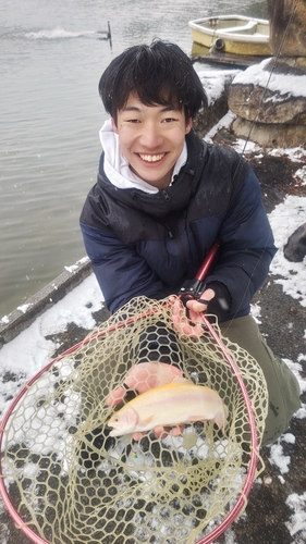 トラウトの釣果