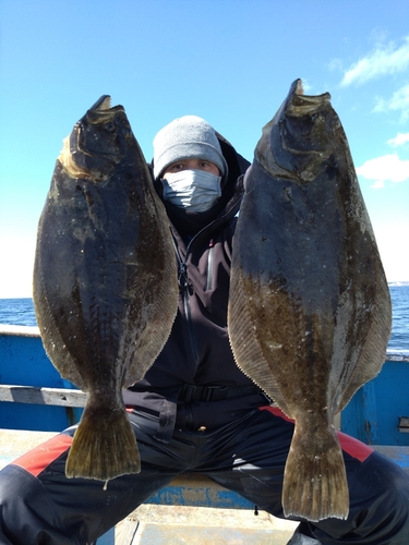 ヒラメの釣果