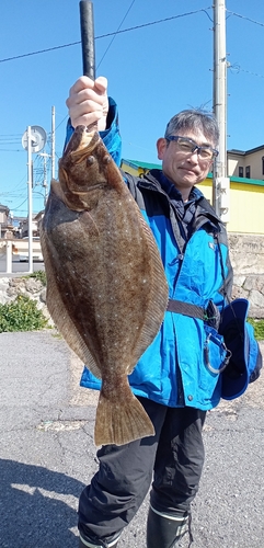 ヒラメの釣果