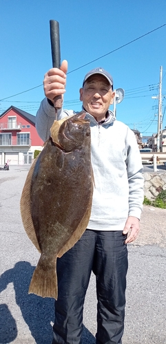 ヒラメの釣果