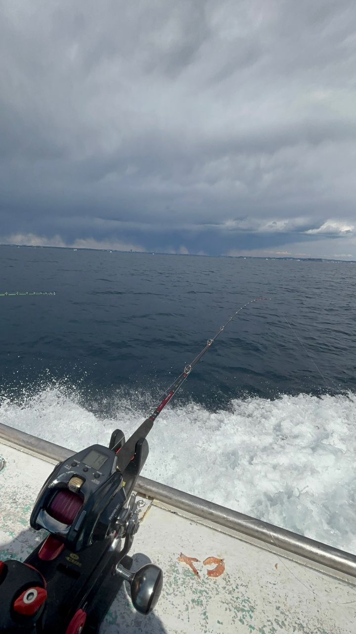 んっちゃんさんの釣果 3枚目の画像