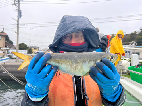 マアジの釣果