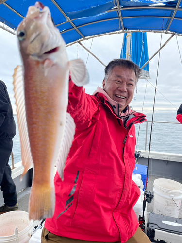 シロアマダイの釣果