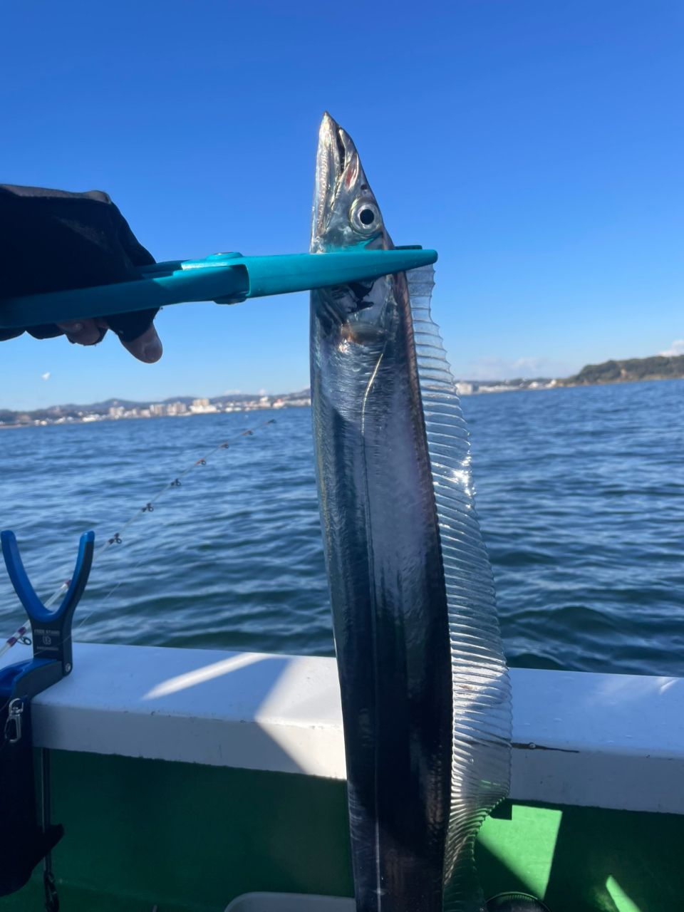 金沢八景のつり吉さんの釣果 3枚目の画像