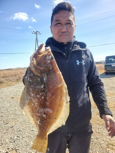 ヒラメの釣果