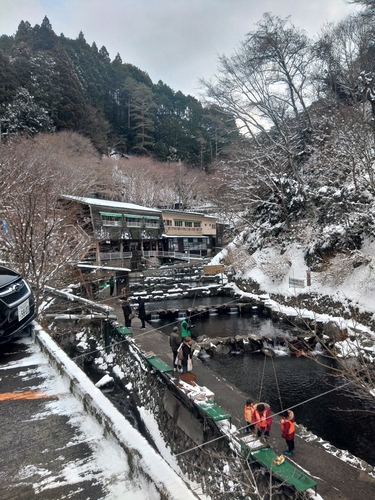 南大阪野池群