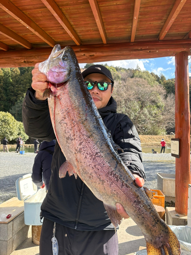 スチールヘッドの釣果