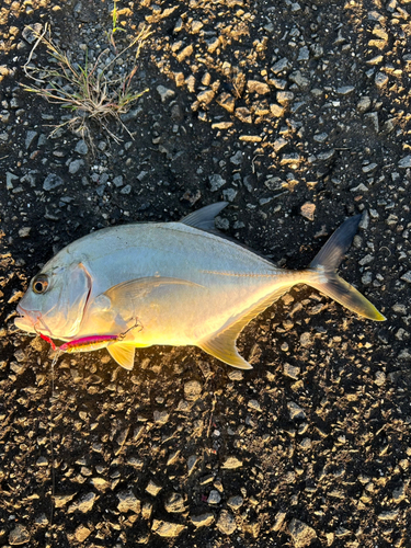 伊勢湾湾奥