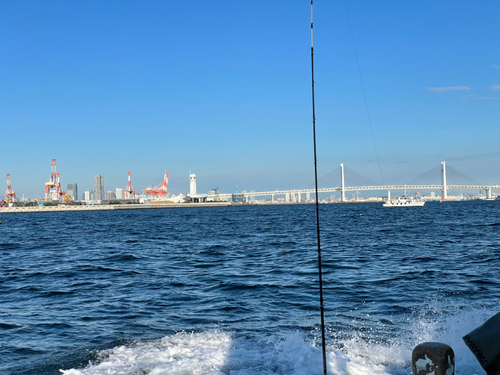 マアジの釣果