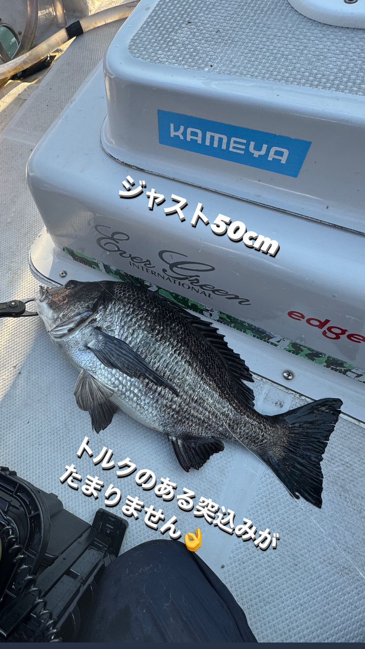 名古屋港ボートシーバスガイド edgeさんの釣果 3枚目の画像