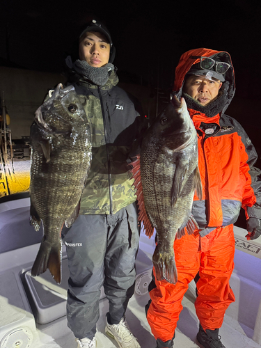 クロダイの釣果