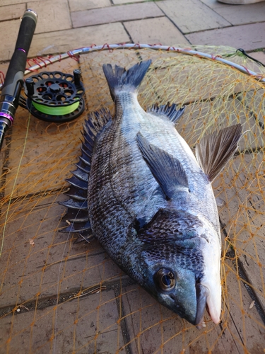 隅田川下流