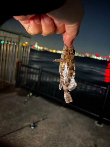 若洲海浜公園海釣り施設