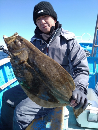 ヒラメの釣果