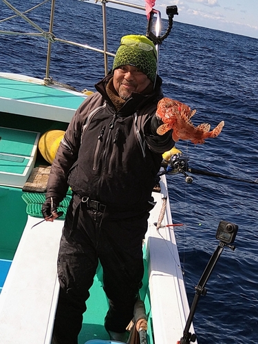 オニカサゴの釣果