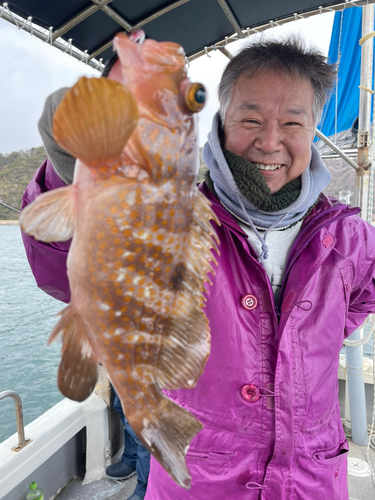 アコウの釣果