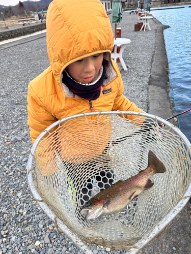 ニジマスの釣果