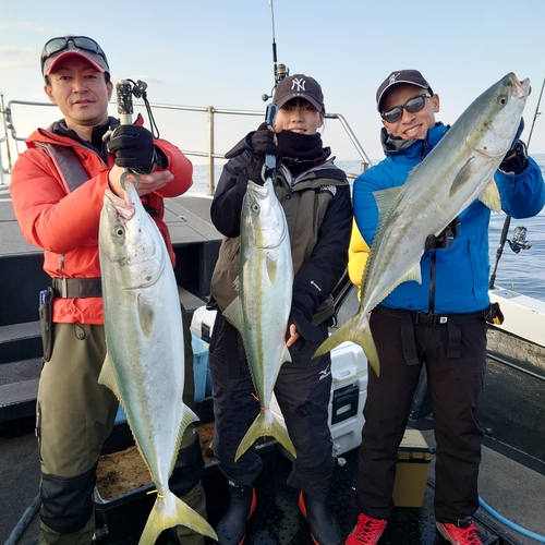 ブリの釣果