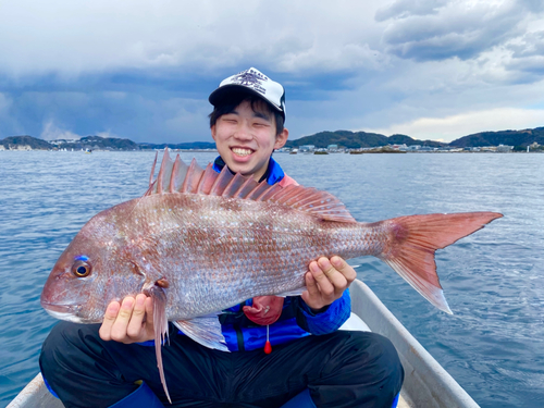 マダイの釣果