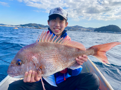 マダイの釣果