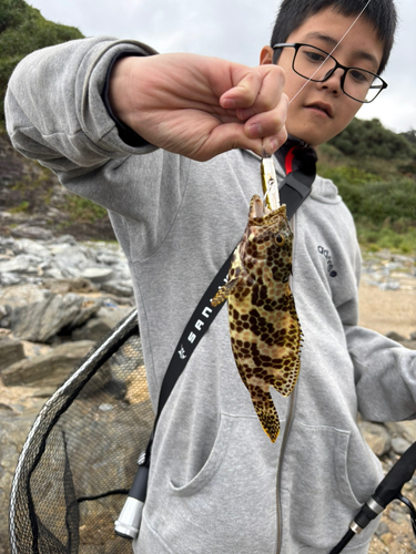 イシミーバイの釣果