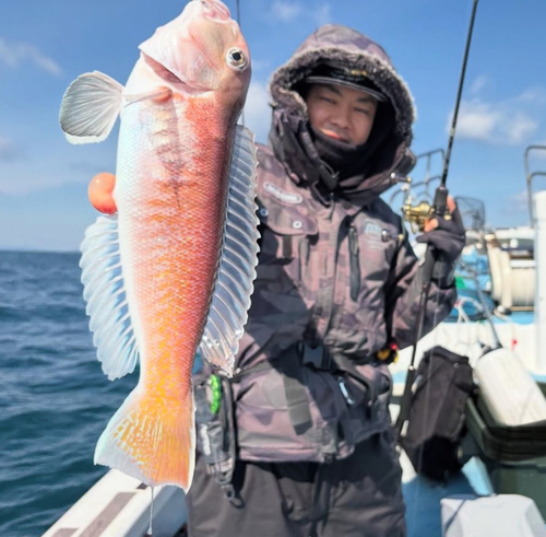 シロアマダイの釣果