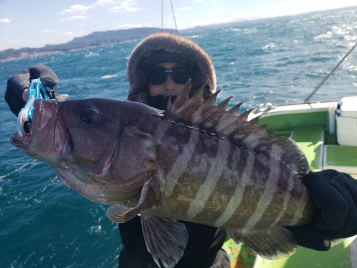 ぱぴです！さんの釣果 3枚目の画像