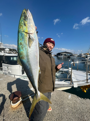 ワラサの釣果