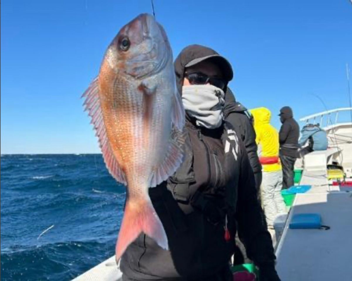 ふじFujiさんの釣果 1枚目の画像