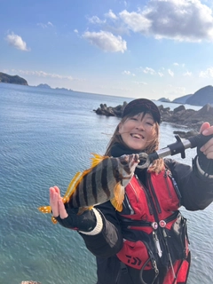 タカノハダイの釣果