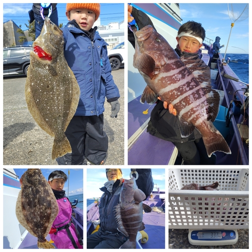 マハタの釣果