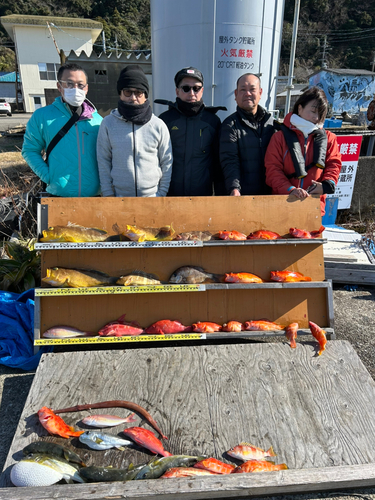 アオハタの釣果