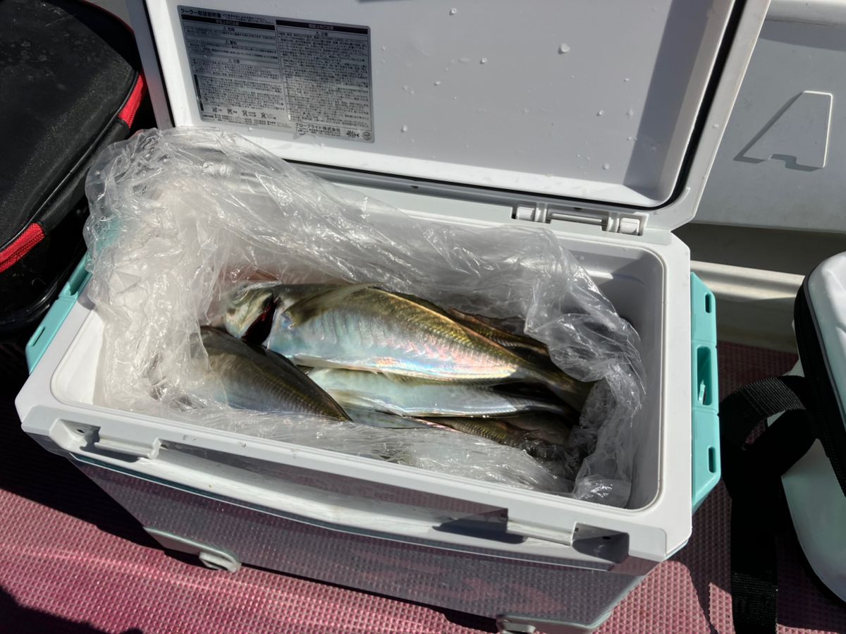 なあなさんの釣果 2枚目の画像