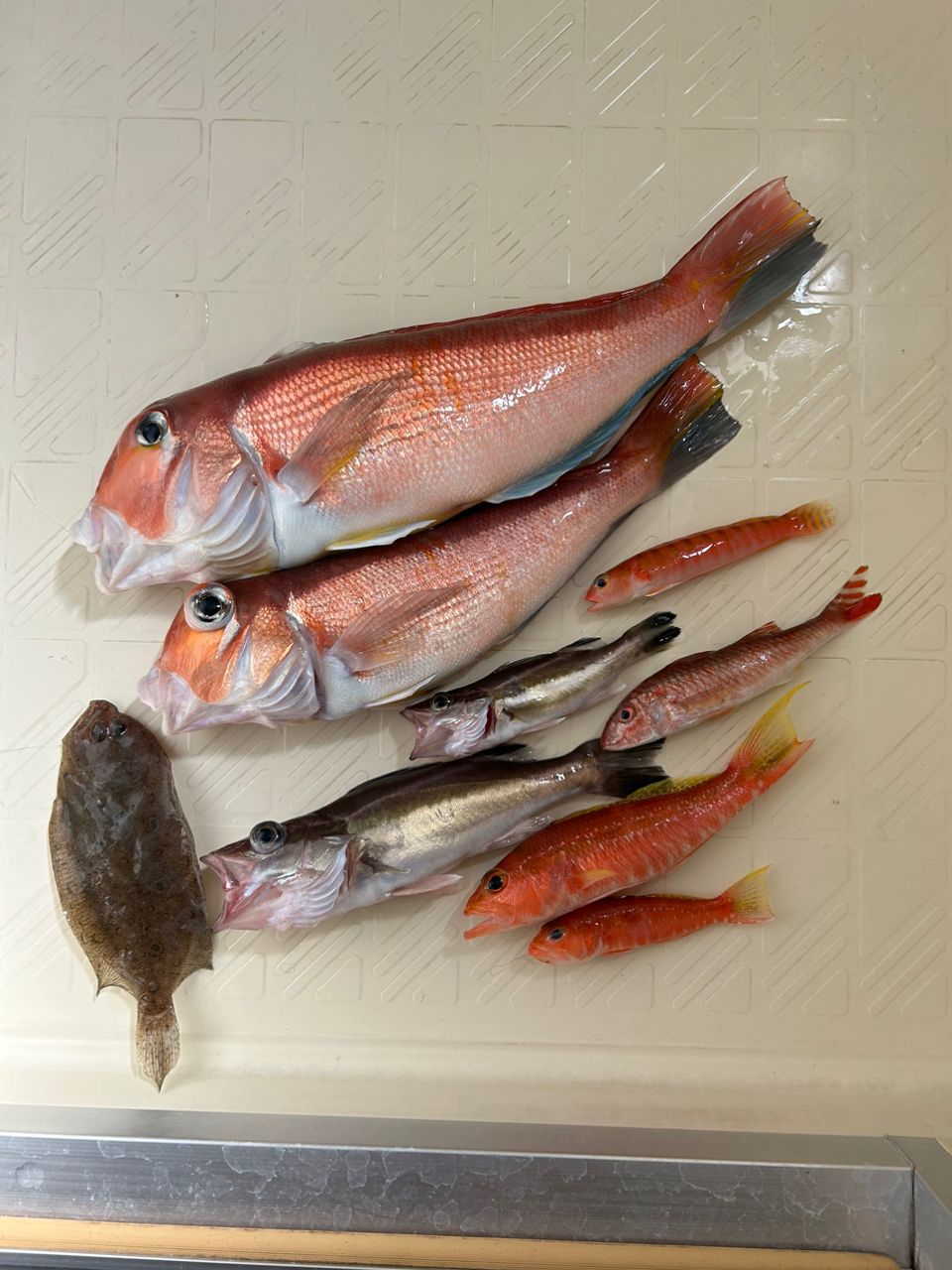 AMFさんの釣果 2枚目の画像