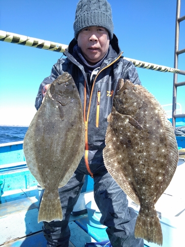 ヒラメの釣果