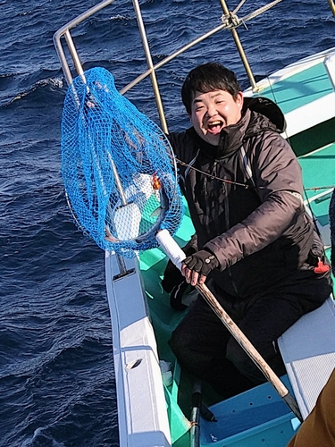 カンパチの釣果