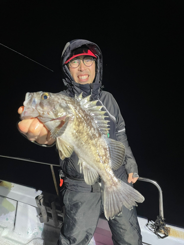 クロソイの釣果