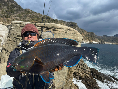 アオブダイの釣果