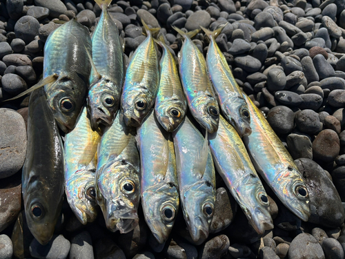 煙樹ヶ浜