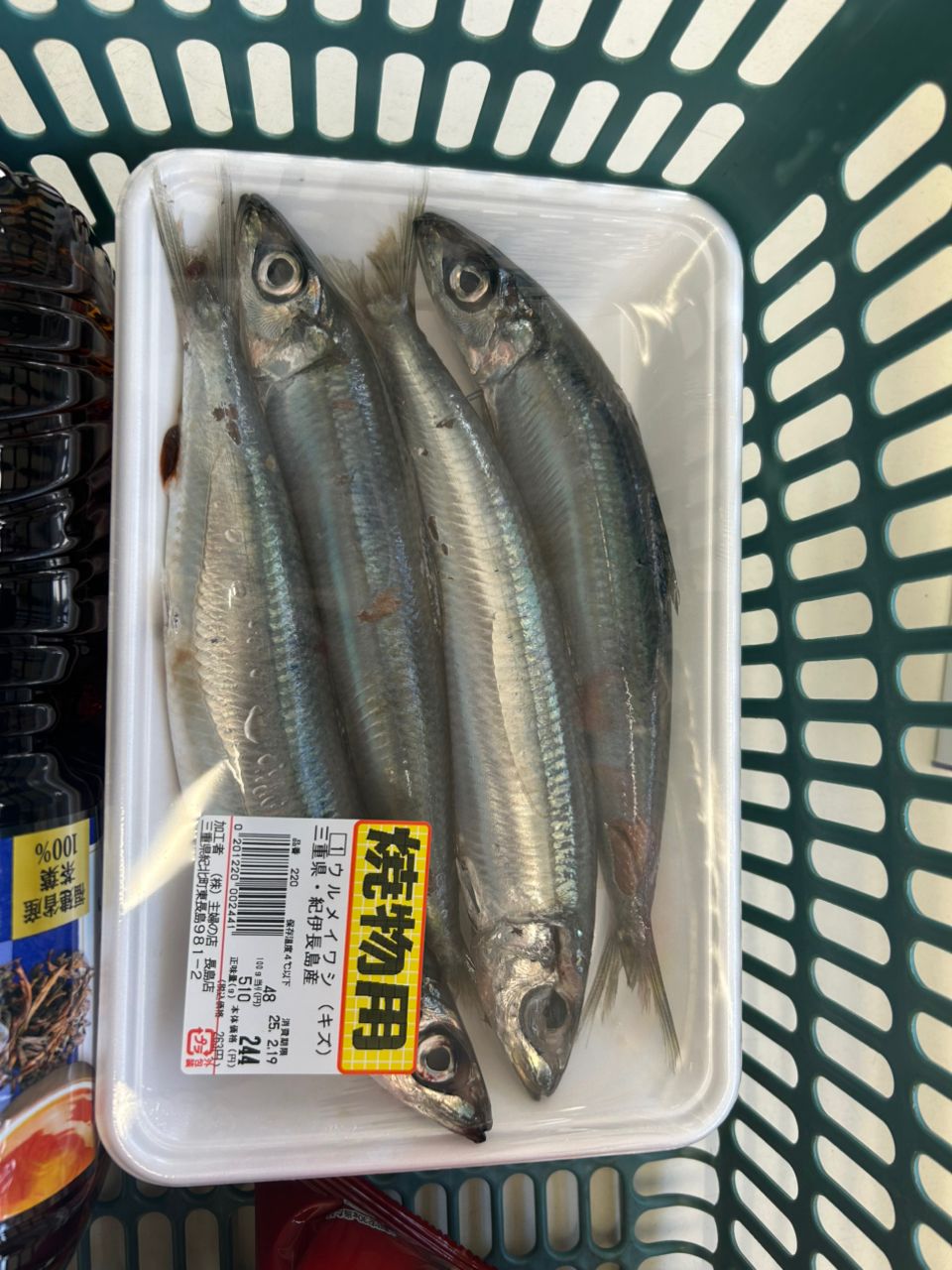 三重県紀北　おじゃる丸さんの釣果 2枚目の画像