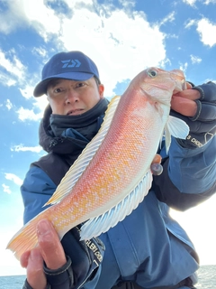 アマダイの釣果