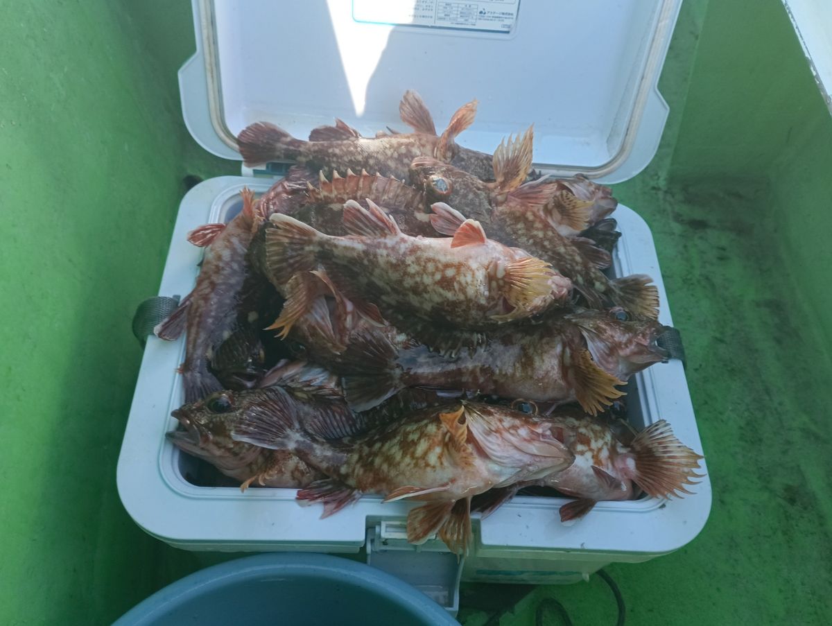 木更津の雀鬼さんの釣果 1枚目の画像