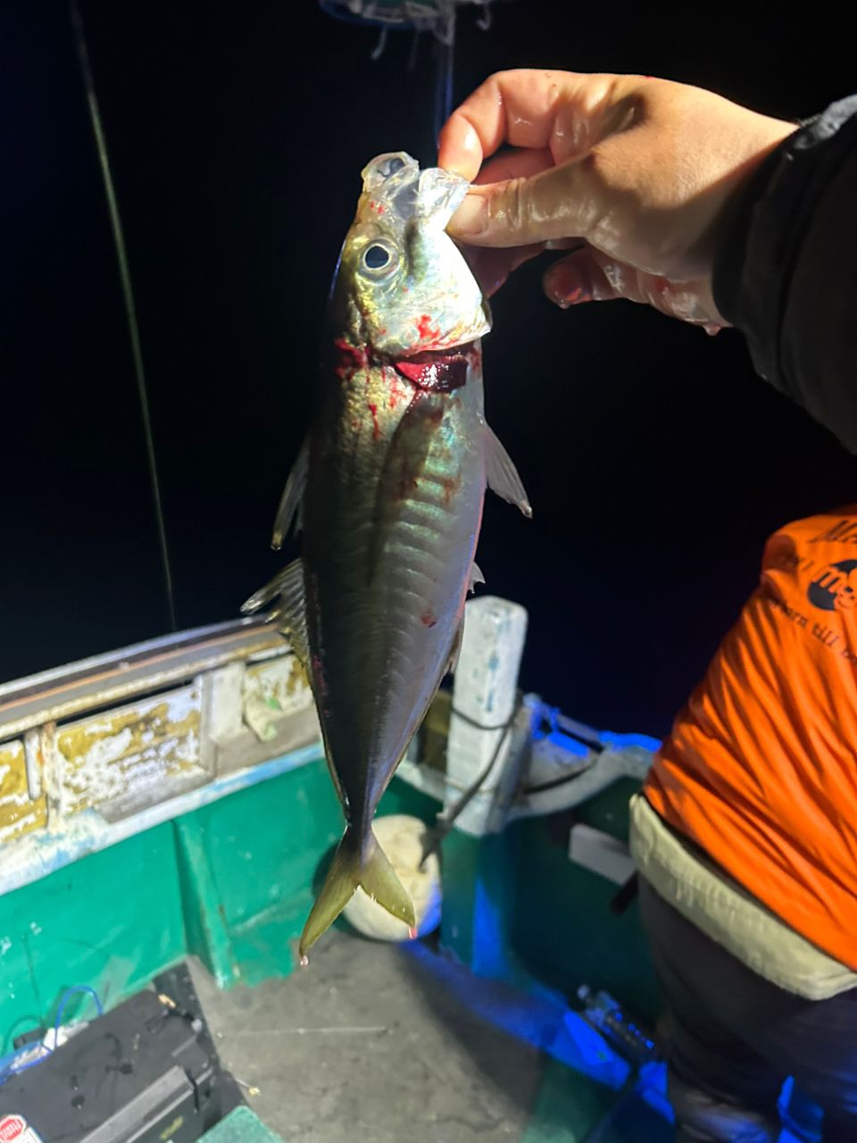 三重県紀北　おじゃる丸さんの釣果 2枚目の画像