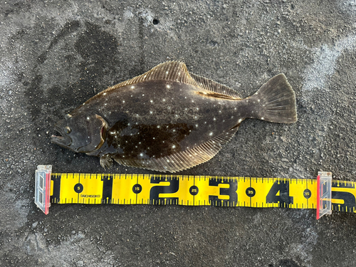 鹿島港魚釣園