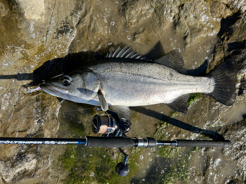 釣果