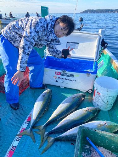 ブリの釣果