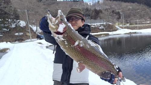 サメの釣果