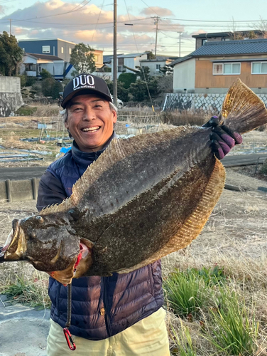 ヒラメの釣果