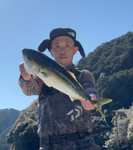 メジロの釣果