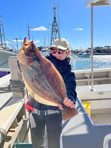 ヒラメの釣果